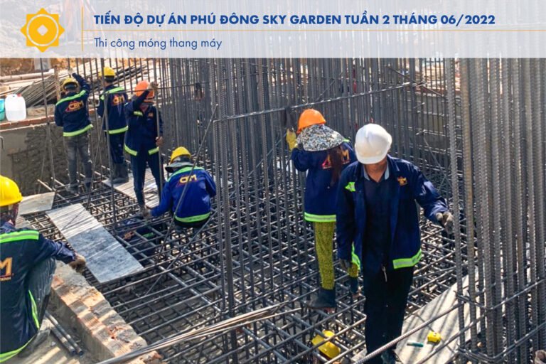 Tiến độ tuần 02 tháng 6/2022