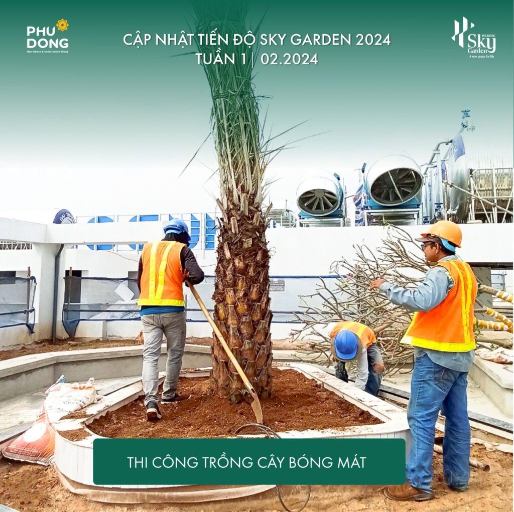 CẬP NHẬT TIẾN ĐỘ DỰ ÁN PHÚ ĐÔNG SKY GARDEN TUẦN 1 THÁNG 02/2024