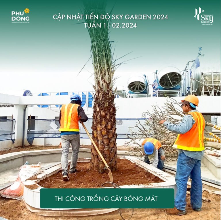 CẬP NHẬT TIẾN ĐỘ DỰ ÁN PHÚ ĐÔNG SKY GARDEN TUẦN 1 THÁNG 02/2024