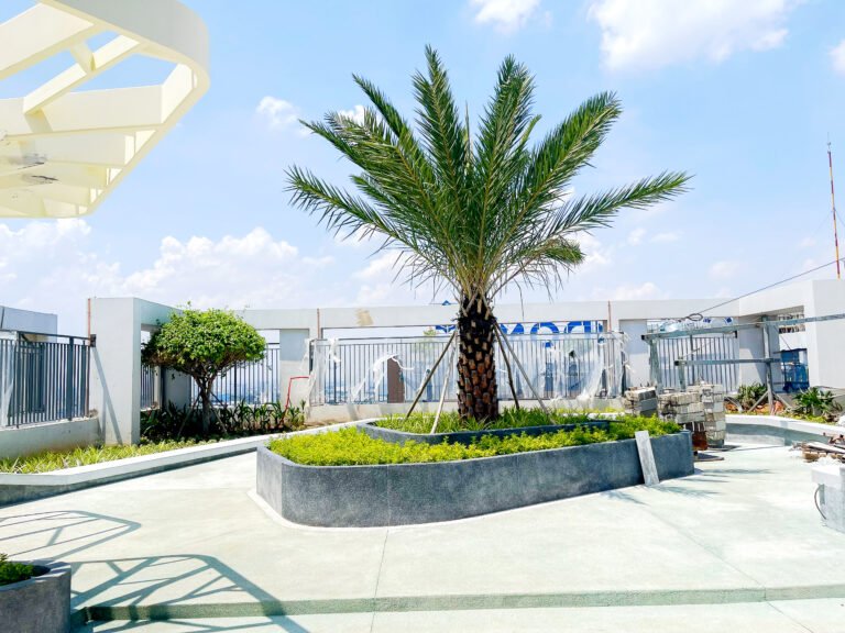 Video clip cập nhật tiến độ dự án Phú Đông Sky Garden Tuần 2 tháng 5/2024